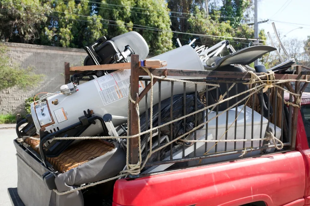 responsible disposal is a must