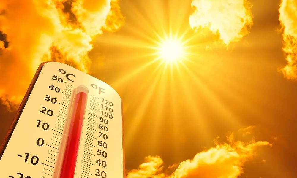 the impact of global warming